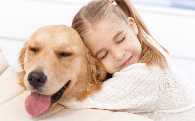PUREMANENT Pet