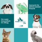 PUREMANENT Pet tierfreundlicher Desinfektionsreiniger - Image 5